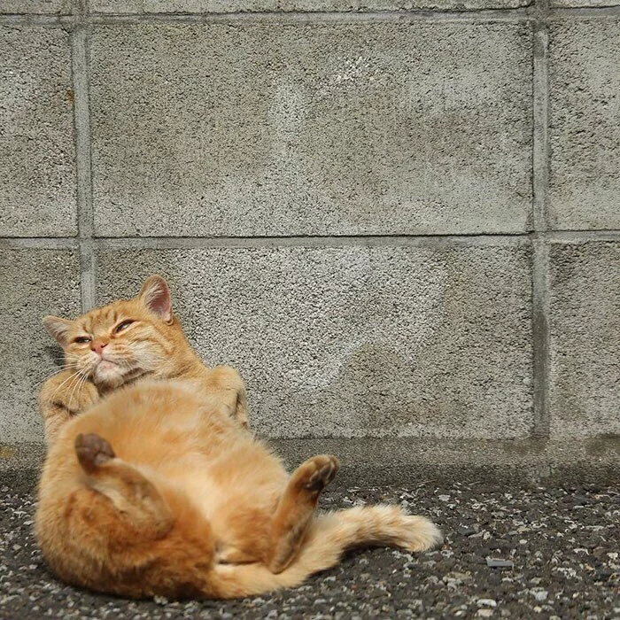 lVWAWbLh5TU.webp