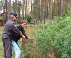 lW0SGnndG2UgVKHXn10ap-l6JAF35PsoP9fQkarrvgX4hzpwZw.webp