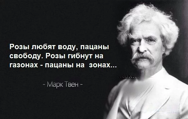 LWiKwDw8Ja0.webp