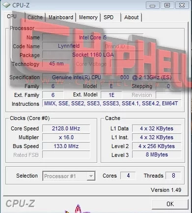 lyn-3.webp