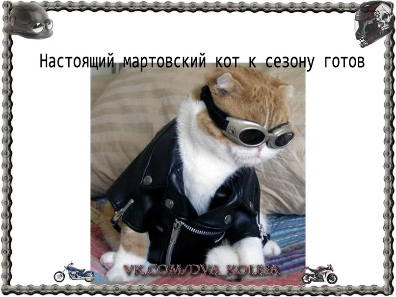 LzDkvuqonBo.webp