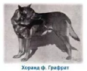 m1736.webp