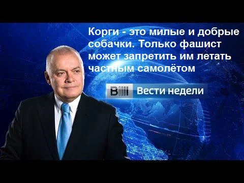 M6wWWf6ZYXc.webp