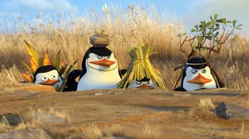 Madagascar12_small.webp