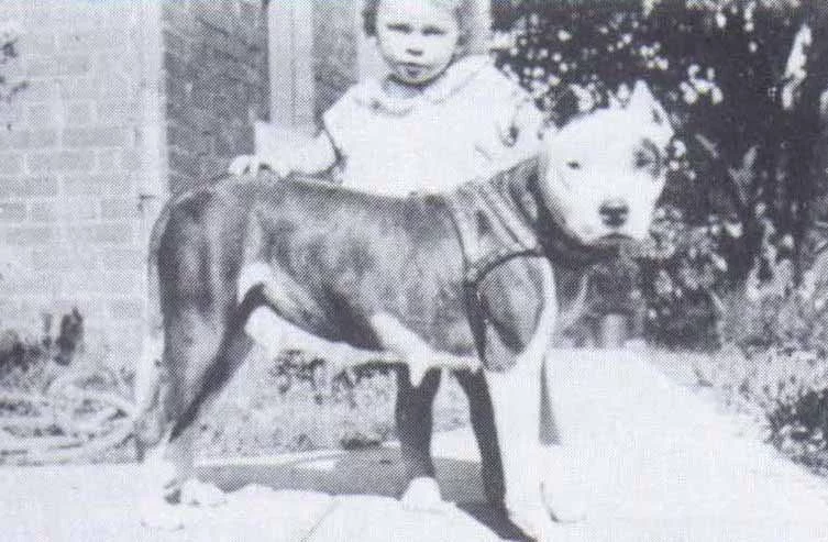 madge_dot.webp