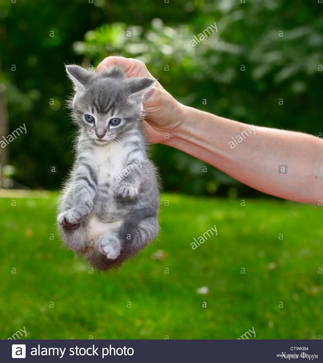main-qimg-31aa02c3a5f67612c7a830603d8c8f08.webp