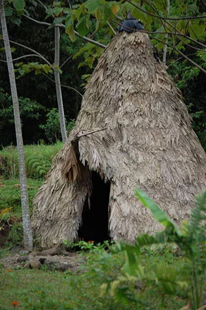 maleku-hut.webp
