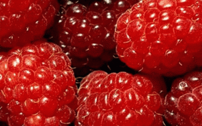 malina.gif