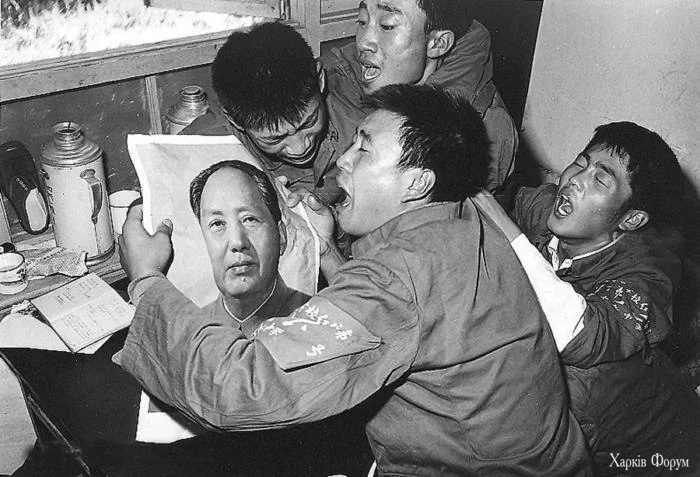 mao.webp