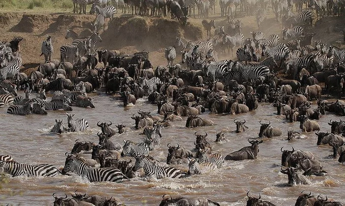 mara-river-crossing-4.webp