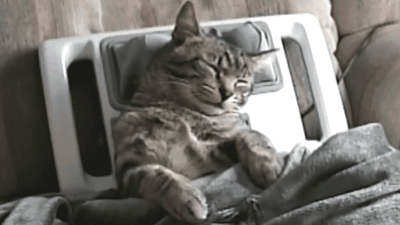 massager.gif