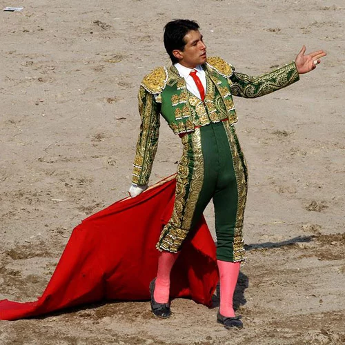 matador2.webp