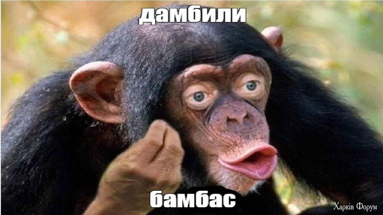 дамбас