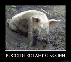 McTmlr1dwv2BKAm3sSRluW2rUb7JjAFomVrCW__ZBfsyLaWy1w.jpg