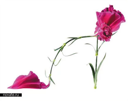 medium_flower_shoes11.webp