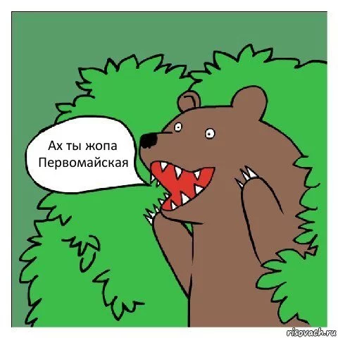 medved-shluha_127843251_orig_.webp