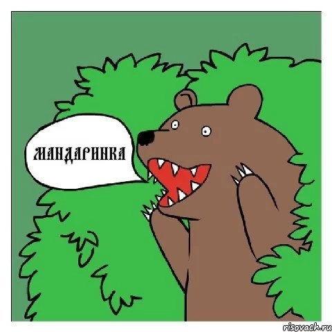 medved_27782435_orig_.webp
