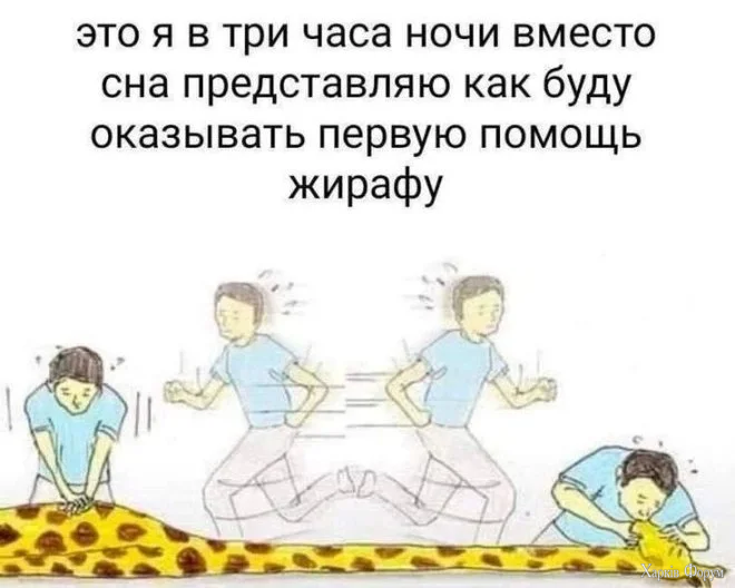 mem-6-1.webp