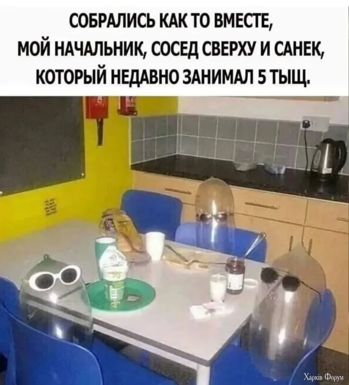 memy11.webp