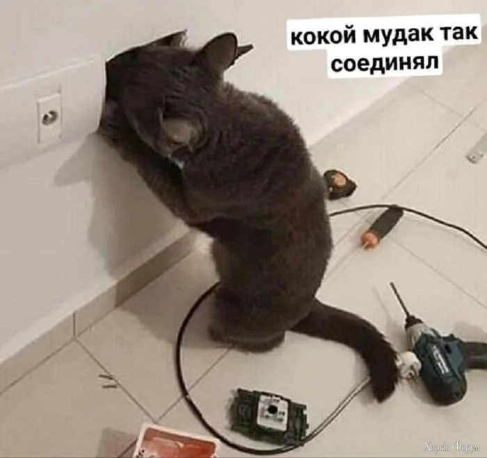 memy11.webp