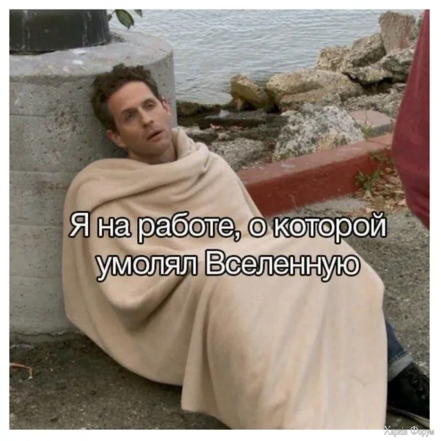 memy12.webp