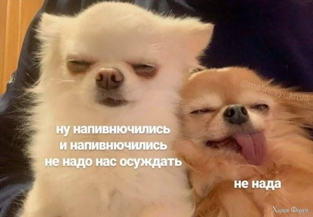memy9.webp