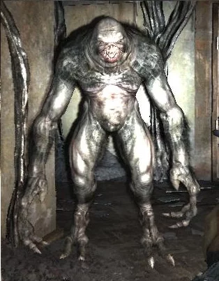 metro203322010032314084.webp