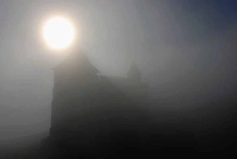 MgRALGO_vyUr9AqE-_OBcKmaqybSywUOtz0ydcyLYT-R0=w800.webp