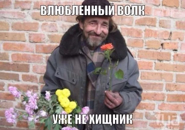 MhmkYFOs_Xk.webp