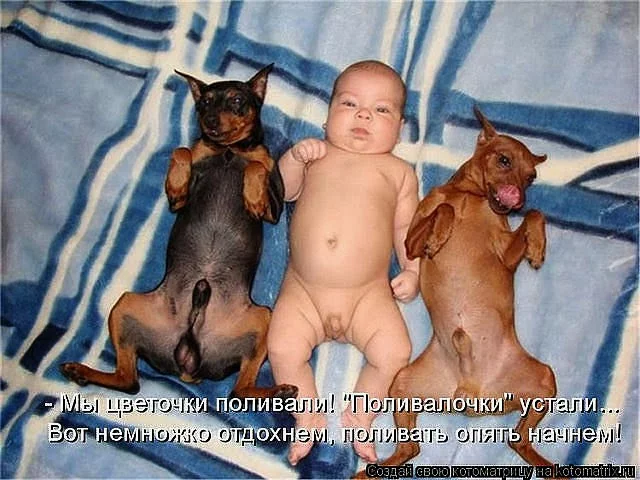 milSANMBYPgow3FUUnUVqSqF5HtZyXQpVUA=w2880-h1620-no.webp