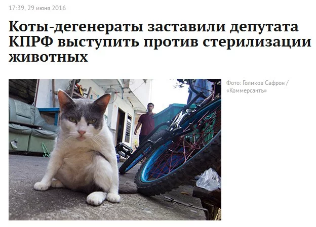 mLYoHeBNO4Y.webp