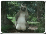 mm8mm8.gif