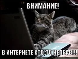 MmhrgqZFVIqAph9k_-WjOL48Xagd-bdJu8ai-5FWzT-ovZt6y5.webp