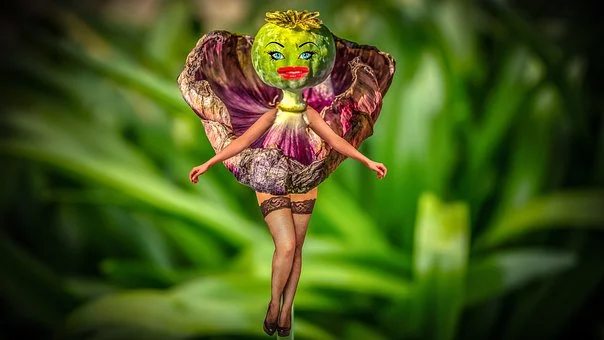 mohnfigur-4352960__340.webp