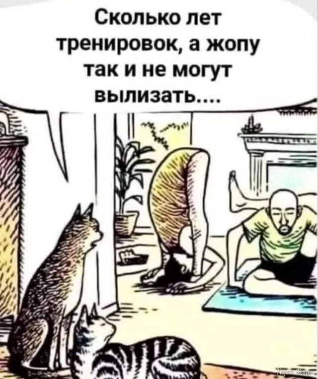  могут.webp