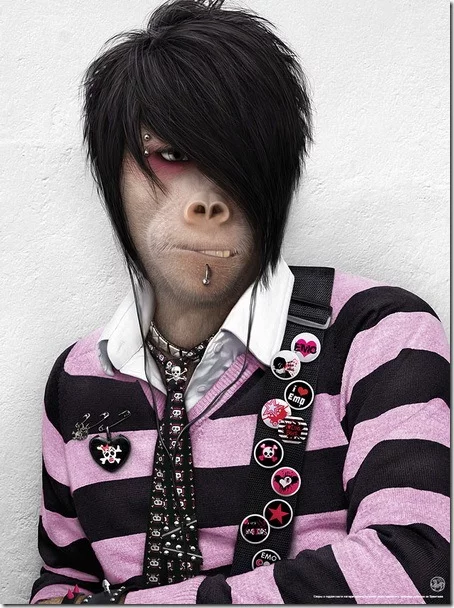 molanina-monkeys-1-thumb.webp