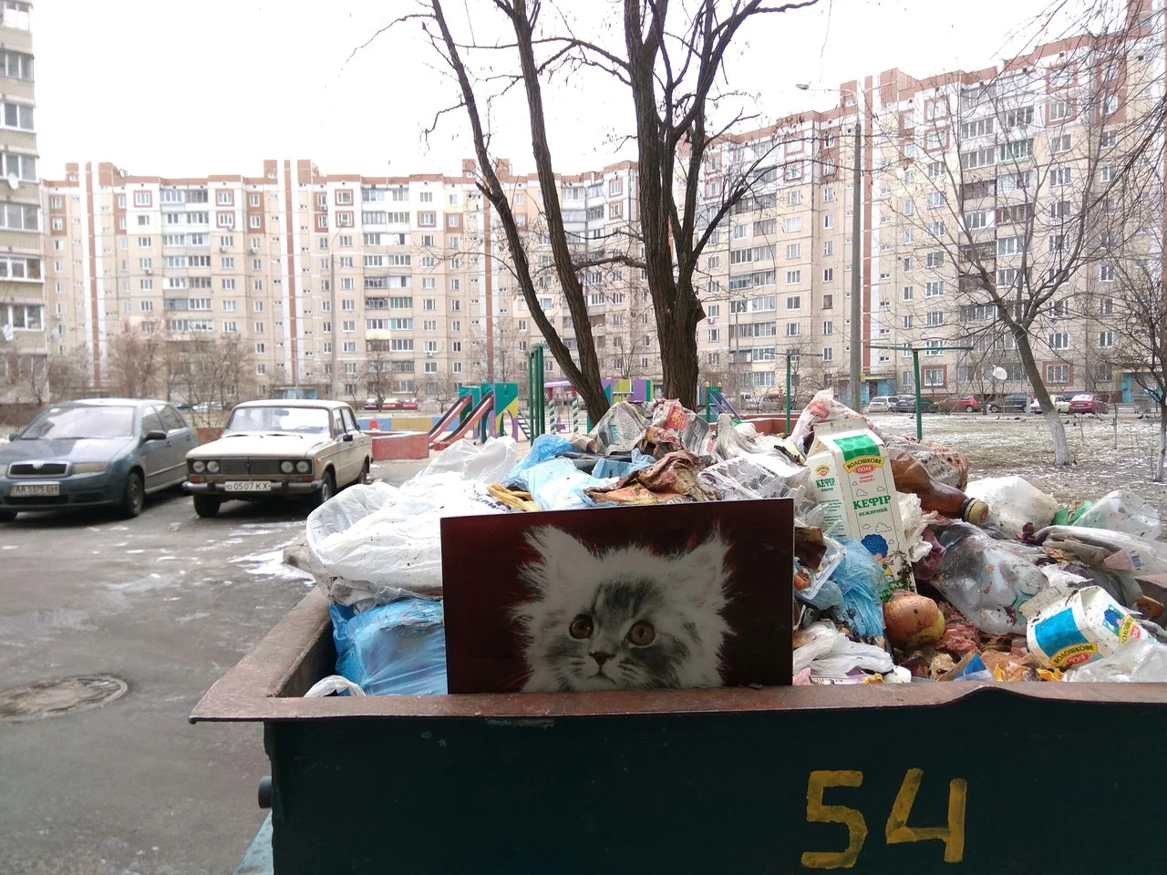 mOnaqrbnGdU.webp