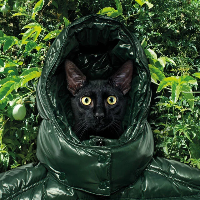 moncler-art-love01.webp