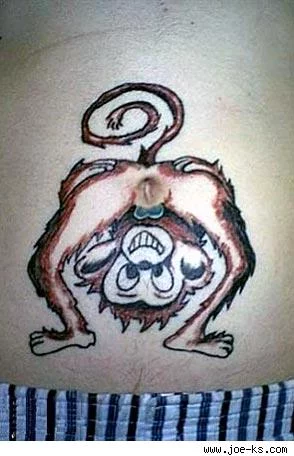 monkey-anus-navel-294a11090.webp