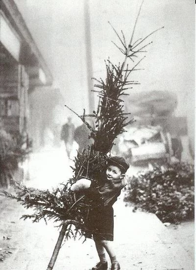 mooie-foto-kerst.1385904580-van-marian..webp