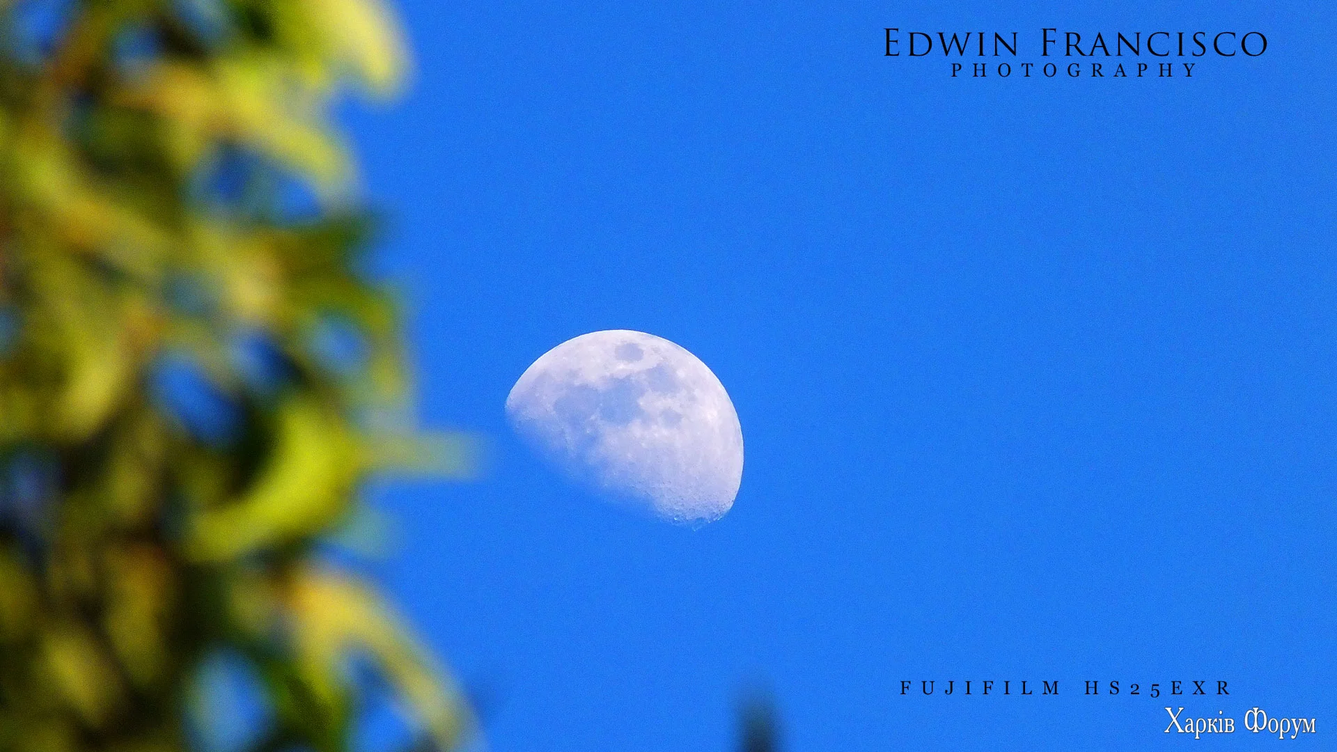 moon-001.webp