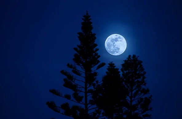 moon.webp