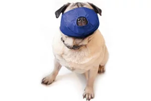 mops-namordnik-2.webp