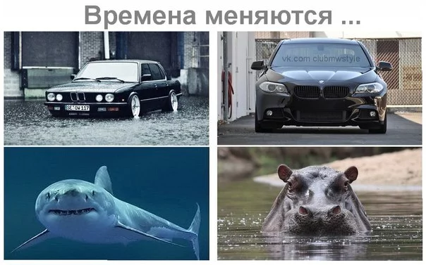 moQbToBJyoU.webp