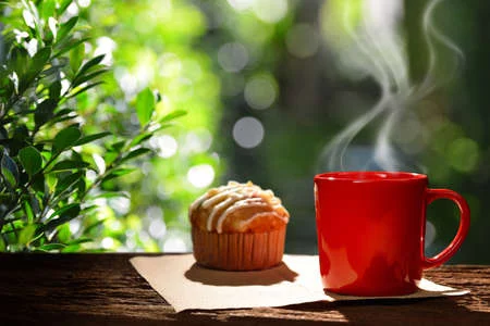 -morning-cup-of-coffee-with-cup-cake-in-the-garden.webp