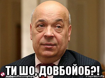 moskal_112337260_orig_.webp