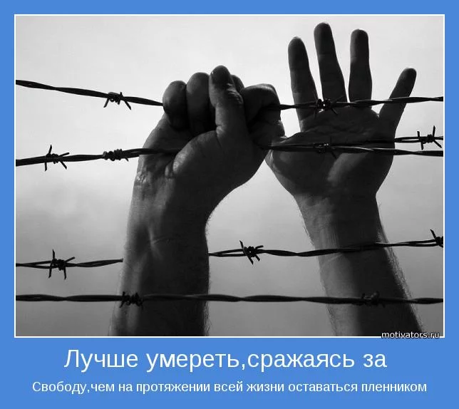 motivator-26474.webp