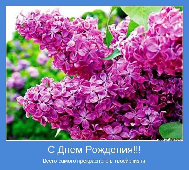 motivator-36683.webp