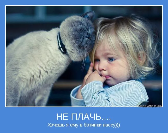 motivator-52224.webp
