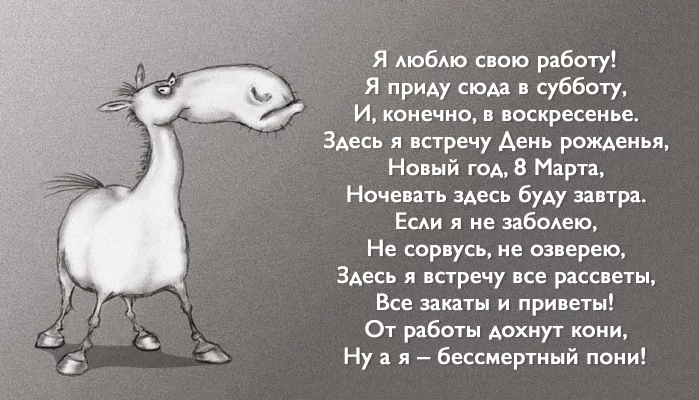 motivator.webp